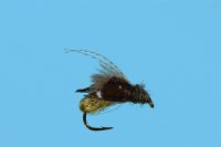 CDC Caddis Emerger - Olive