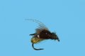 CDC Caddis Emerger ...