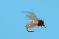 CDC Caddis Emerger ...