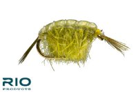 RIO Scud - Light Olive