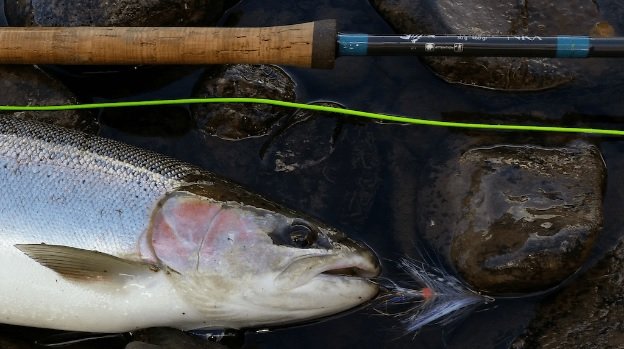 From Top to Bottom: A Look at Sinking Lines (Part One) - Anchored Outdoors