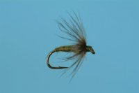 Soft Hackle BWO