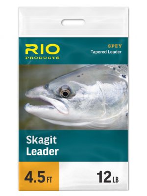 RIO Skagit Leader