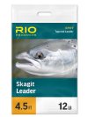 RIO Skagit Leader