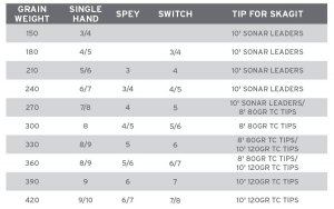 Scientific Anglers Spey Lite Skagit - Head