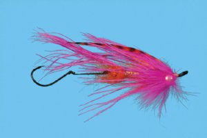 Howells Signature Intruder - Pink / Orange