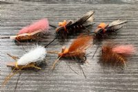 Salmon Fly Dry Kit