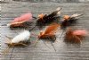  Deschutes Salmon Fly Dry kit