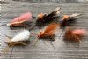 GFS Kit - Deschutes Salmon Fly Dry kit