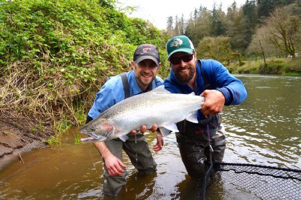 Coastal Steelhead