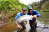 Coastal Steelhead