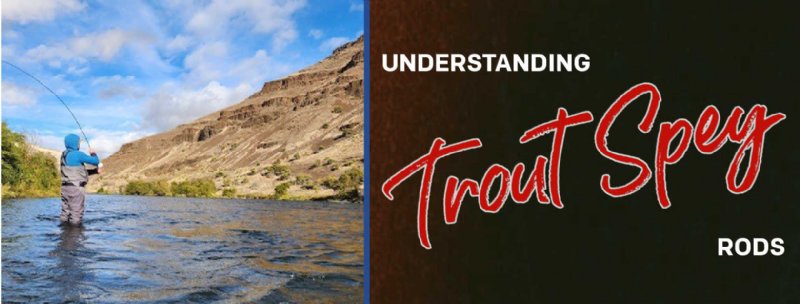 Understanding Trout Spey Rods