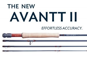 Thomas & Thomas Avantt II Fly Rods