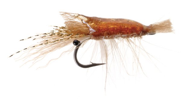 Ultra Shrimp - Tan Saltwater Fly