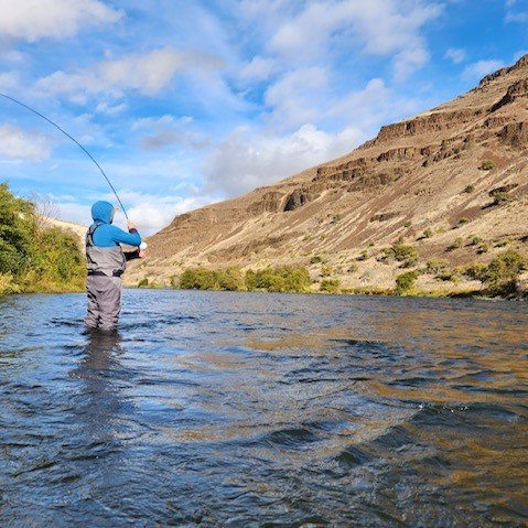 Understanding Trout Spey Rods
