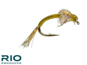 RIO WD 40 - Olive