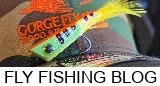 Fly Fishing Blog